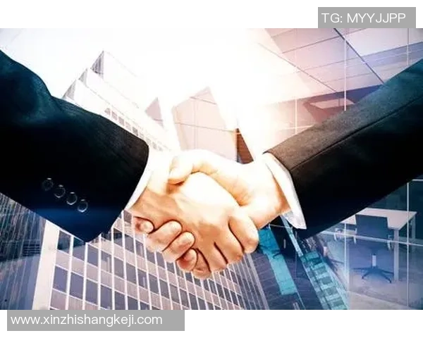 杭州排球队阵地战解析：战术创新与团队协作的完美结合